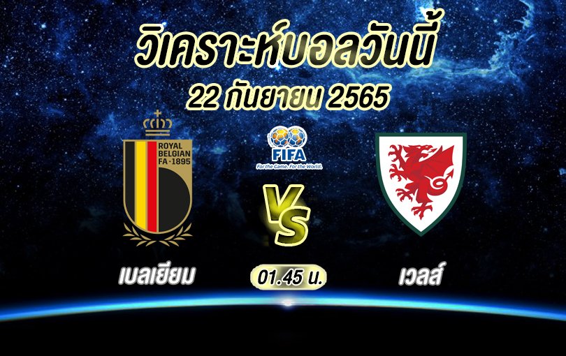เบลเยียม VS เวลส์