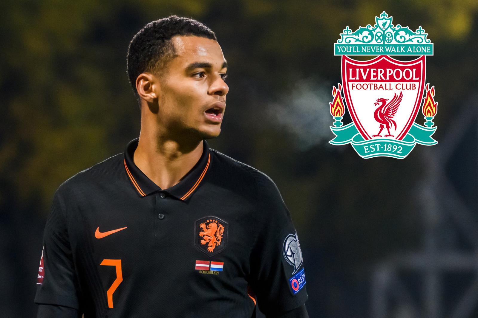 โคดี้ กัคโป บรรลุข้อตกลงในการเซ็นสัญญากับ ลิเวอร์พูล อย่างเป็นทางการ