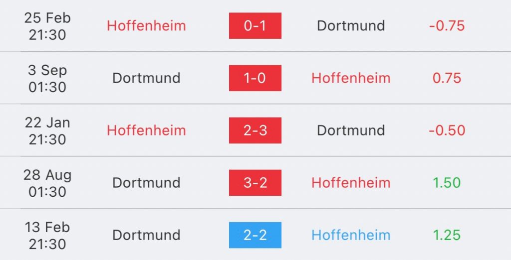 วิเคราะห์บอล บุนเดสลีกา ฮอฟเฟ่นไฮม์ vs ดอร์ทมุนด์ 2023/2024
