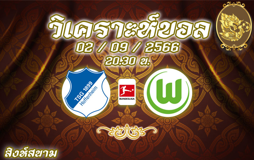 วิเคราะห์บอล บุนเดสลีกา ฮอฟเฟ่นไฮม์ vs โวล์ฟบวร์ก 2023/2024