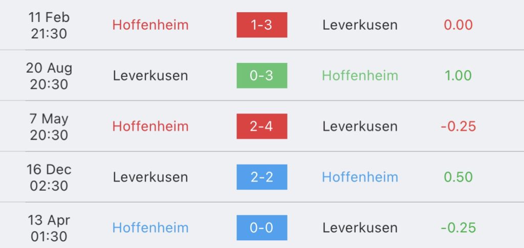 วิเคราะห์บอล บุนเดสลีกา ฮอฟเฟ่นไฮม์ vs เลเวอร์คูเซ่น 2023/2024